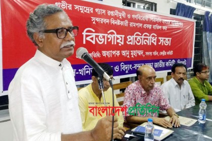 দুর্নীতি-লুটপাটের কারণে গ্যাস-বিদ্যুতের দাম বাড়ছে: আনু মুহাম্মদ