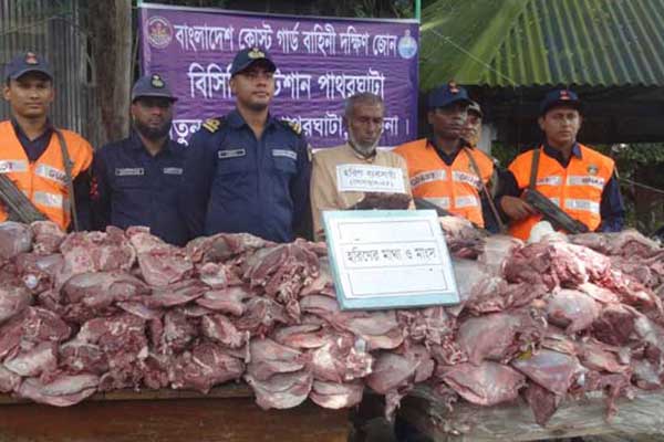 বরগুনায় ২০ মণ হরিণের মাংস উদ্ধার, আটক ১