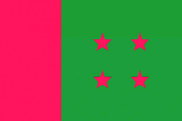 উৎসবমুখর আওয়ামী লীগ কার্যালয়, চাপে বিতর্কিতরা