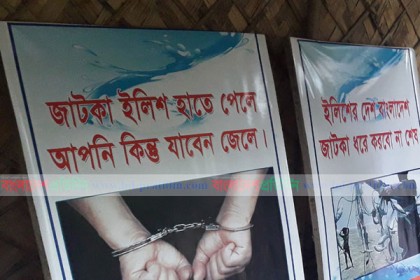 মা ও জাটকা ইলিশ রক্ষায় কুয়াকাটা ইলিশ পার্কে স্থায়ী গ্যালারি