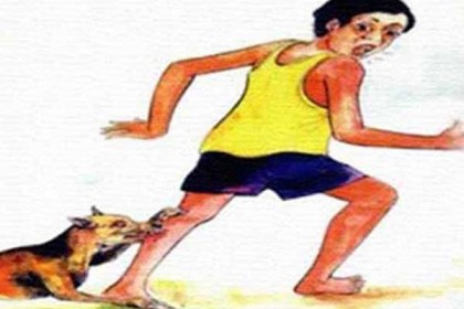 ফতুল্লায় পাগলা কুকুরের কামড়ে আহত ৪০