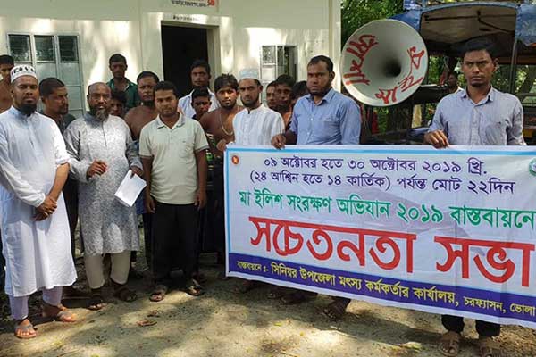 বুধবার থেকে ইলিশ সংরক্ষণ অভিযান শুরু
