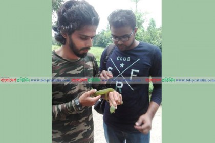 ২০ কিলোমিটার পথ পাড়ি দিয়ে সাপের প্রাণ বাঁচাল চবি শিক্ষার্থী 