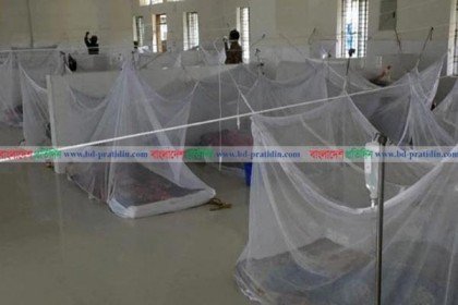 সরকারি হিসাবে ডেঙ্গুতে মৃতের সংখ্যা বেড়ে ৯৩