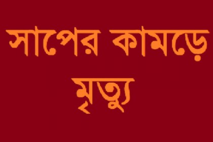 সাপের কামড়ে বাবার মৃত্যু, ১ মাস পর একইভাবে প্রাণ গেল স্ত্রীসহ ছেলের