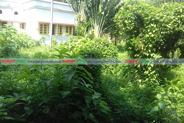 ঝোঁপঝাড় পরিস্কারের উদ্যোগ নেই রামেক হাসপাতালে!