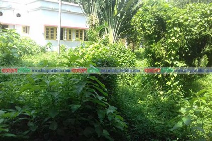 ঝোঁপঝাড় পরিস্কারের উদ্যোগ নেই রামেক হাসপাতালে!
