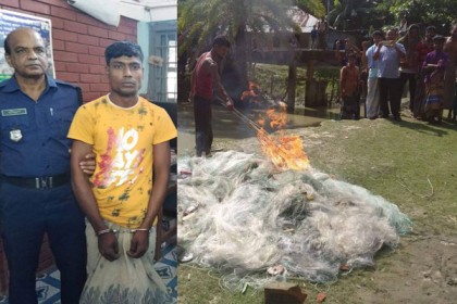 নিষেধাজ্ঞা উপেক্ষা করে ইলিশ শিকার, জেলের কারাদণ্ড