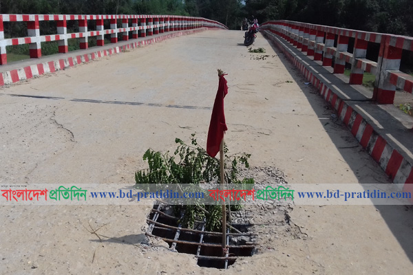 ঝুঁকির মুখে শ্রীবরদীর সীমান্ত রাস্তার সেতু