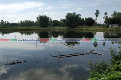 যুবলীগ নেতার বিরুদ্ধে মাদ্রাসার পুকুর দখলের অভিযোগ