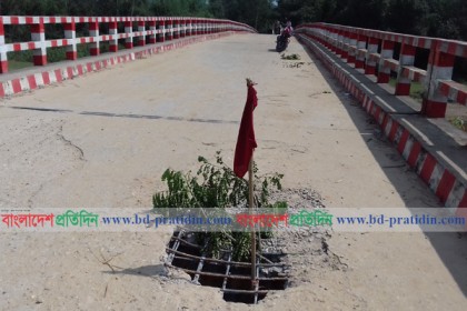 ঝুঁকির মুখে শ্রীবরদীর সীমান্ত রাস্তার সেতু