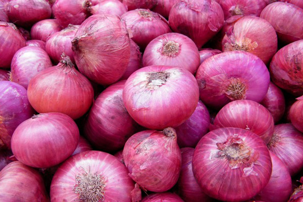 মিয়ানমার থেকে আনা অধিকাংশ পিঁয়াজই পঁচা