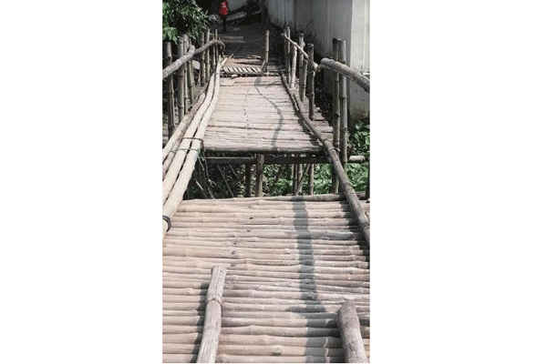 টাঙ্গাইলে বাঁশের সাঁকো ভেঙে নারীর মৃত্যু, আহত ৬

