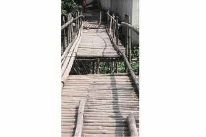 টাঙ্গাইলে বাঁশের সাঁকো ভেঙে নারীর মৃত্যু, আহত ৬

