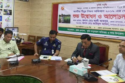 প্রতি বছর ৫০ লাখ মানুষের খাবার নষ্ট করে ইঁদুর