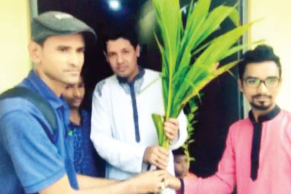 বৃক্ষ বাবুলের গল্প