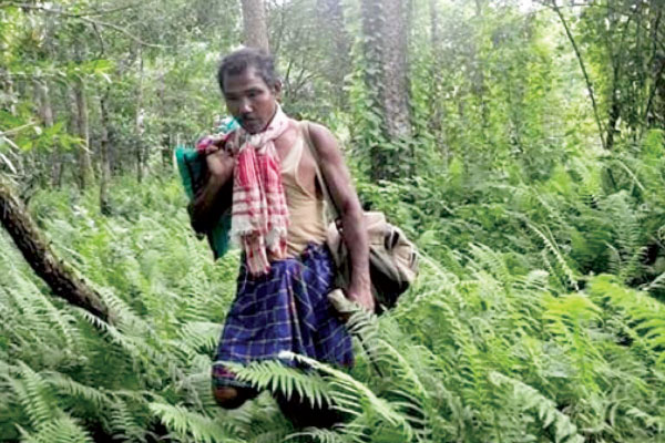 যাদব পায়েং  একাই বানালেন আস্ত এক বন