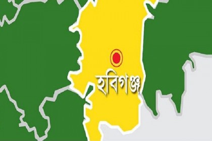 খাদ্যে বিষক্রিয়ায় শিশুর মৃত্যু, অপর ২ ভাই'র অবস্থা আশঙ্কাজনক