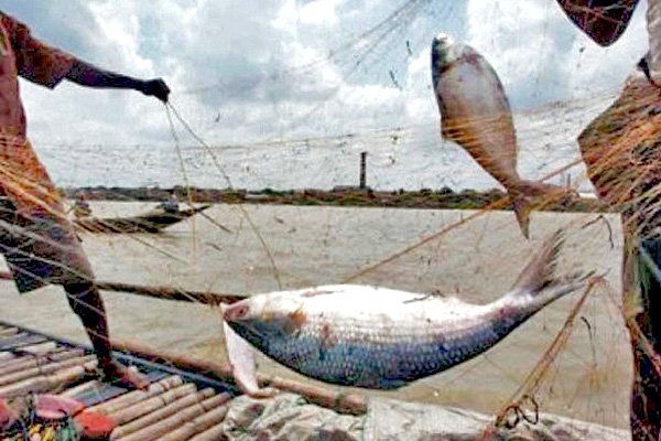ইলিশ শিকারের সময় দুই পুলিশসহ আটক ৬
