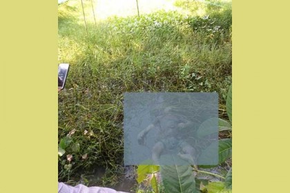 সুবর্ণচরে যুবকের অর্ধগলিত লাশ উদ্ধার