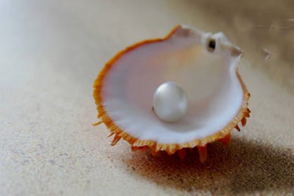 সন্ধান মিলল বিশ্বের সবচেয়ে প্রাচীন মুক্তার