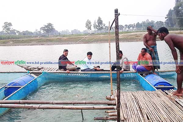 খাঁচায় মাছ চাষ করে স্বাবলম্বীর স্বপ্ন দেখছে ১০ পরিবার 