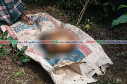 তেঁতুলিয়ায় মস্তকবিহীন লাশ উদ্ধারের ৪ দিন পর মাথা উদ্ধার
