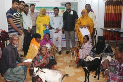 নাসিরনগরে নারীদের স্বাবলম্বী করতে ছাগল বিতরণ