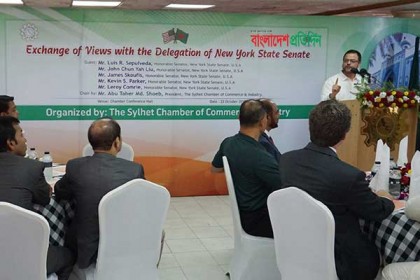 'যুক্তরাষ্ট্রের বিনিয়োগকারীরা বাংলাদেশে বিনিয়োগে আগ্রহী'