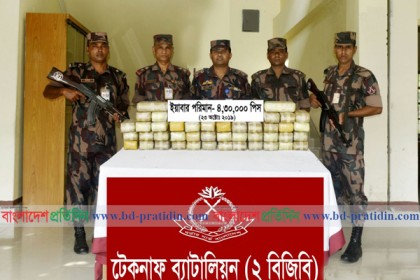 টেকনাফে বিজিবির অভিযানে বিপুল ইয়াবা উদ্ধার