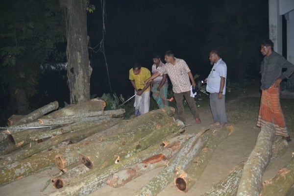হালুয়াঘাটে সরকারি গাছ কাটার অভিযোগ