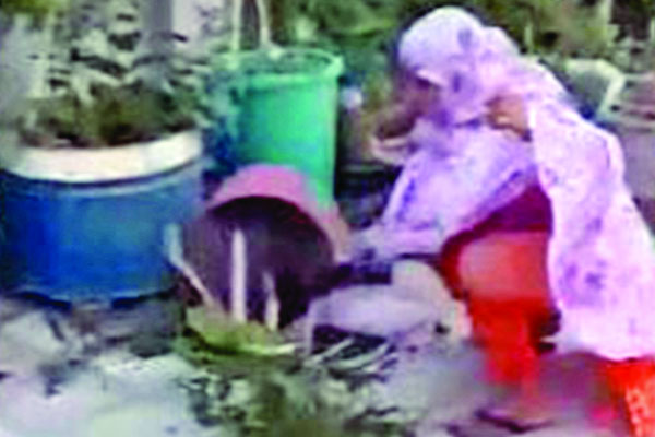 গাছ কেটে ভাইরাল সেই নারী আটক