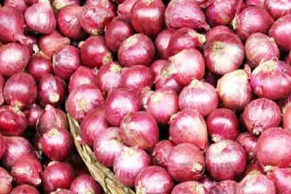 কমছেই না পিঁয়াজের ঝাঁজ