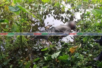 কালকিনিতে ডোবা থেকে অজ্ঞাত ব্যক্তির লাশ উদ্ধার