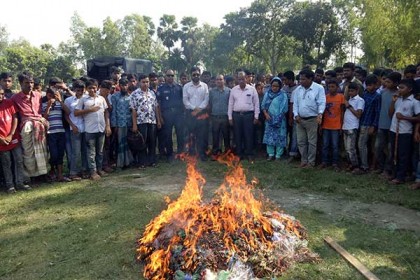 সলঙ্গায় ৫০ হাজার মিটার অবৈধ কারেন্ট জাল জব্দ