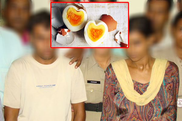 ডিমের জন্য দাম্পত্য ভেঙে প্রেমিকের সঙ্গে পালালেন স্ত্রী!