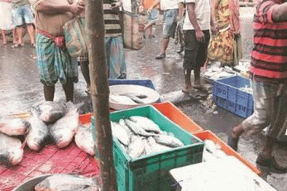 পাইকারি মাছ বাজারের ফ্রিজে মিলল লাশ!