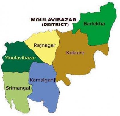 গাড়ি চাপায় মারা গেল বিলুপ্ত সজারু
