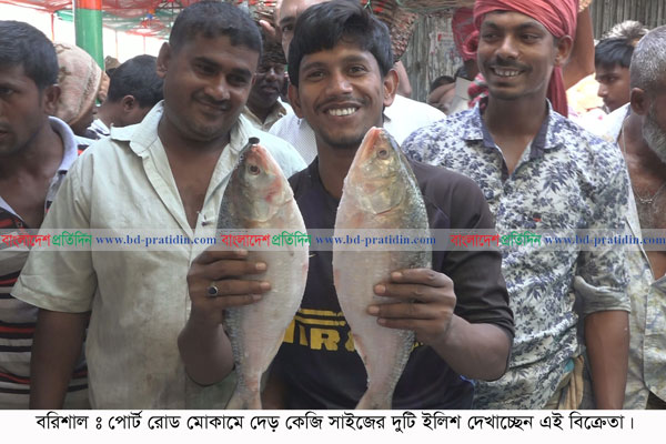 প্রতি কেজি ইলিশে দাম বেড়েছে ৫০-১০০ টাকা, পানির দরে অন্যান্য মাছ বিক্রি 