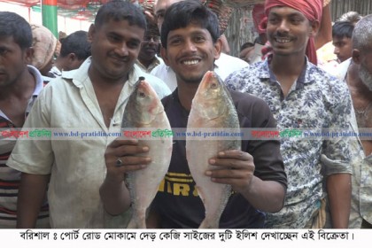 প্রতি কেজি ইলিশে দাম বেড়েছে ৫০-১০০ টাকা, পানির দরে অন্যান্য মাছ বিক্রি 
