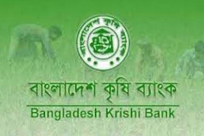ম্যানেজারকে 'ভাই' বলায় গ্রাহককে বের করে দিলেন কৃষি ব্যাংক থেকে!
