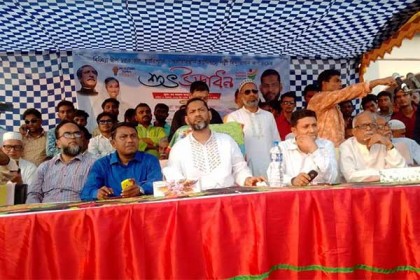 বিদ্যুৎ পেল গলাচিপার তিন ইউনিয়ন