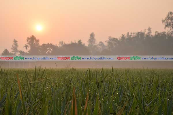 রংপুর অঞ্চলে তীব্র শীতের পদধ্বনি