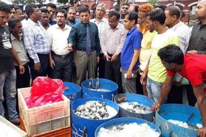 খুলনায় ৮৭৪ কেজি পুশকৃত চিংড়ি জব্দ