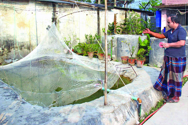 ঘরের ভিতর মাছের কারখানা