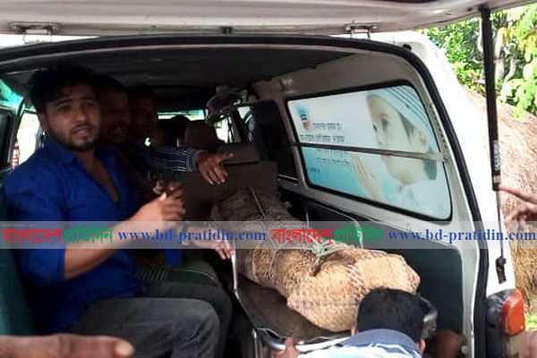 নোয়াখালীতে গরু চোরদের পিছু নিয়ে যুবক খুন 