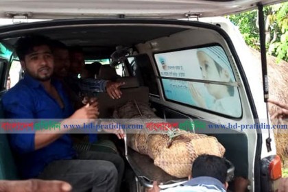 নোয়াখালীতে গরু চোরদের পিছু নিয়ে যুবক খুন 