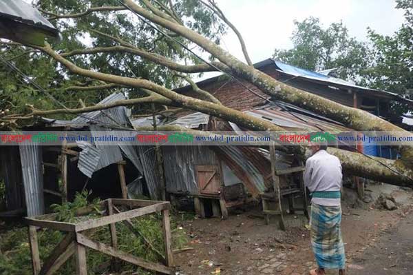 পটুয়াখালীতে বহু ঘরবাড়ি বিধ্বস্ত, আমন ধানের ব্যাপক ক্ষতি
