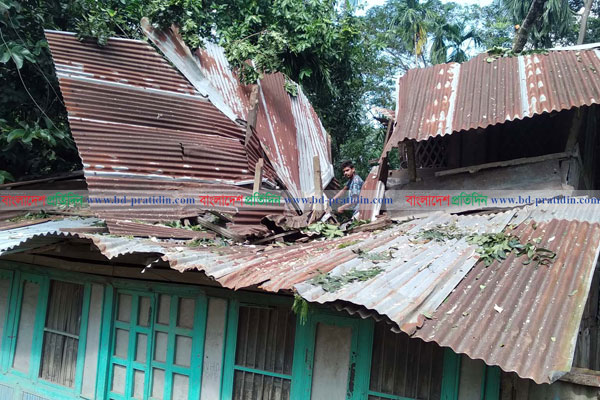বুলবুলের আঘাতে পিরোজপুরে শত কোটি টাকার ক্ষয়ক্ষতি 