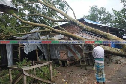 পটুয়াখালীতে বহু ঘরবাড়ি বিধ্বস্ত, আমন ধানের ব্যাপক ক্ষতি
